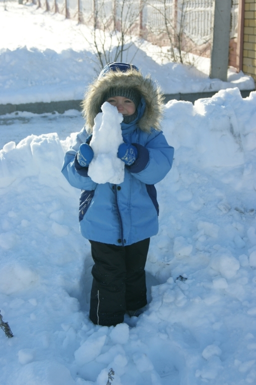 морозный день