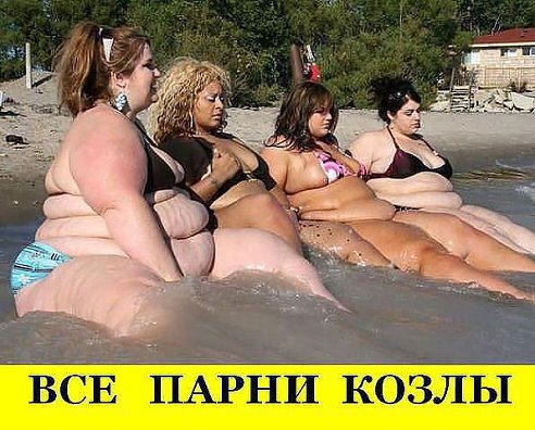 Понравилось