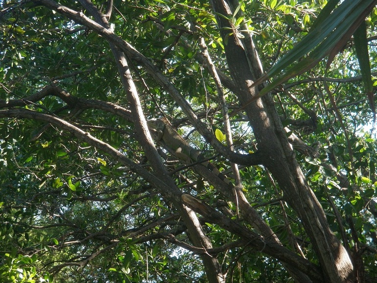 Курортники :)