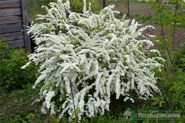 помогите чайнику