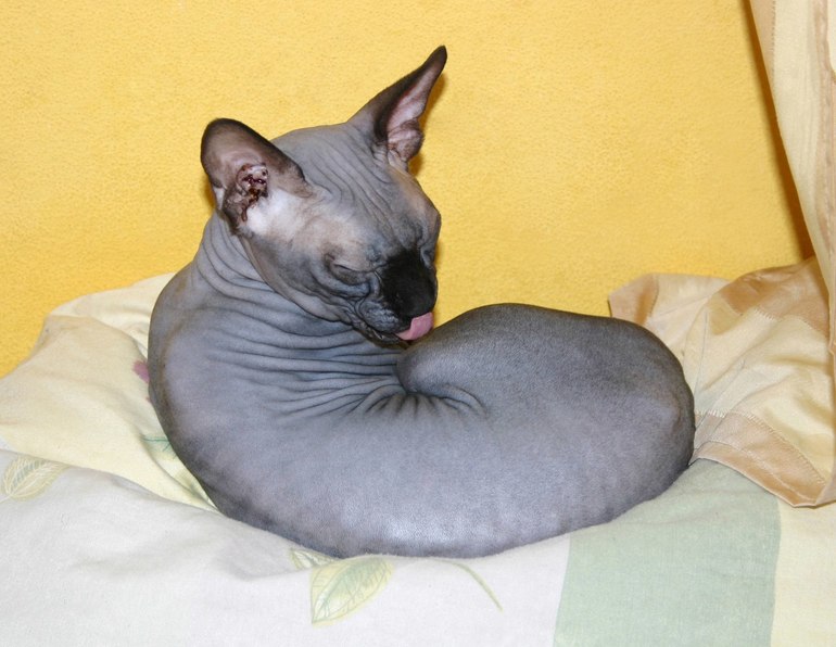 Детская для двоих в стиле икея. Как?