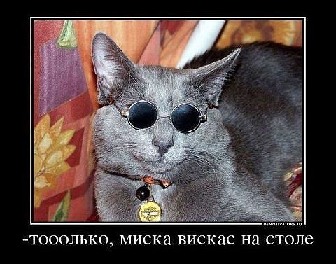 Порция пятничного позитива:)