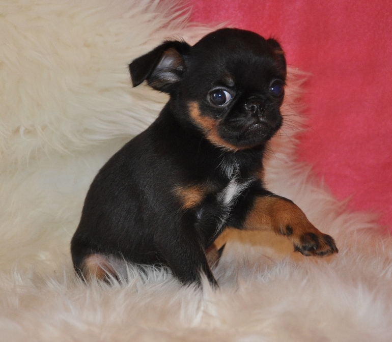 Бонифацию пол годика:)