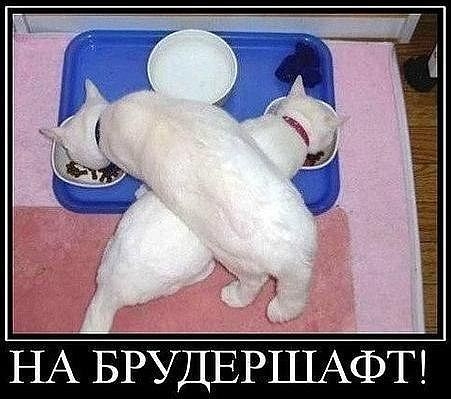 А улыбнуться?