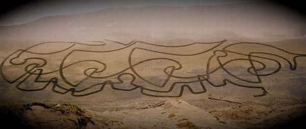 Как вам такая разновидность искусства?