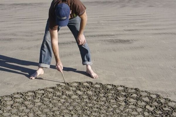 Как вам такая разновидность искусства?