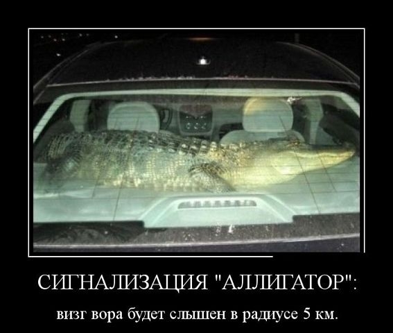 А улыбнуться?