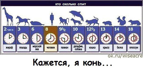 Немного позитива.