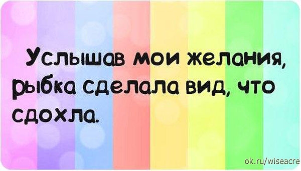 Немного позитива.