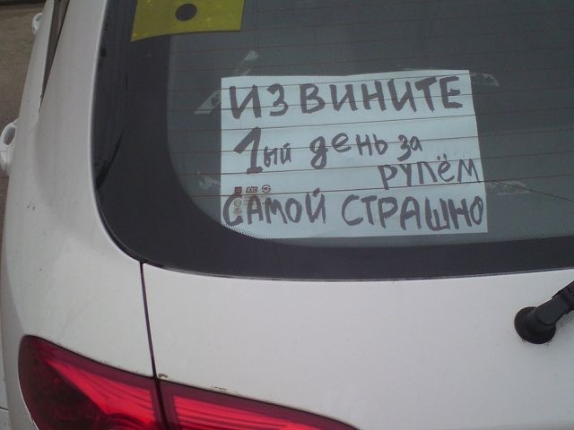 Себе настроение поднимай и о друзьях не забывай.