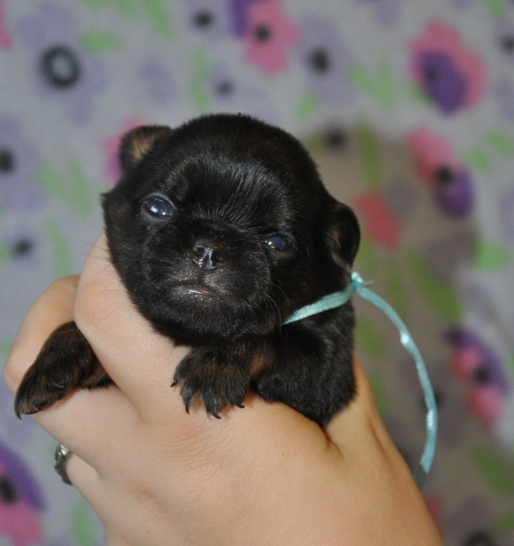 Бонифацию пол годика:)