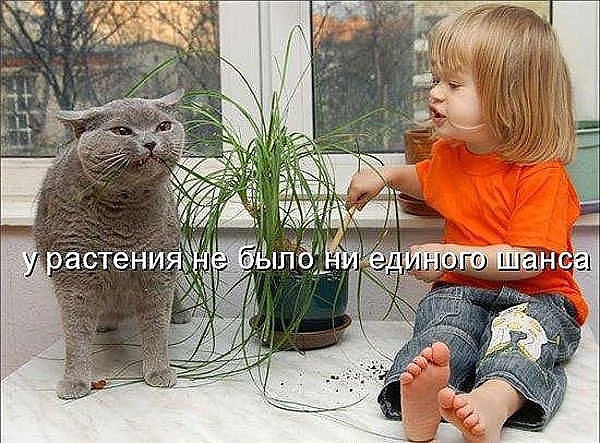 Порция пятничного позитива:)