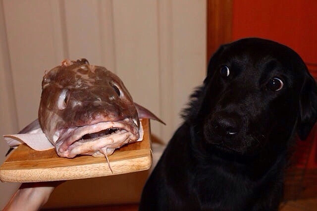 Себе настроение поднимай и о друзьях не забывай.