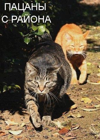 Немного позитива.