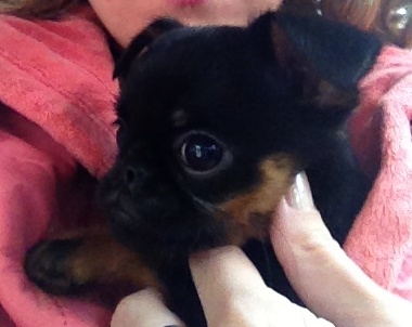 Бонифацию пол годика:)