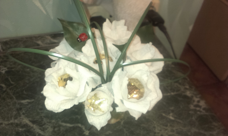 мои первенцы