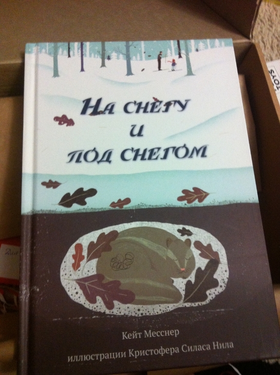 Про Аист бокс