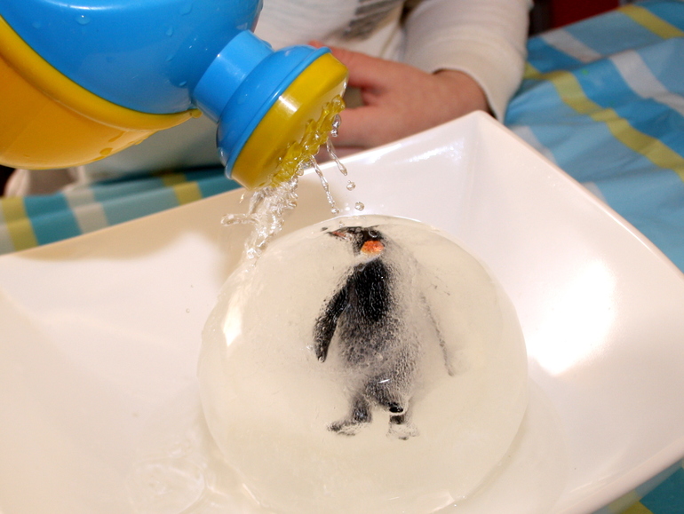 ТН "Арктика и Антарктика"