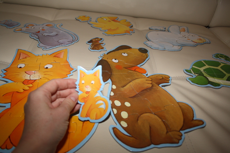 Наши игры Djeco и не только. Из последнего