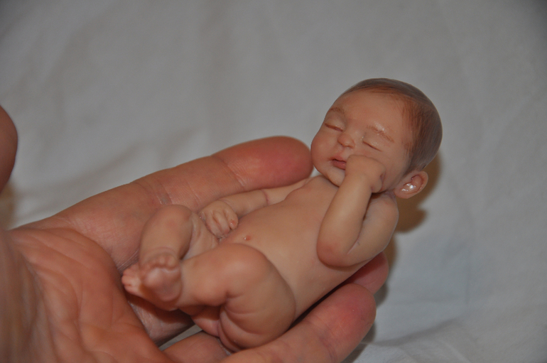 Новые малыши