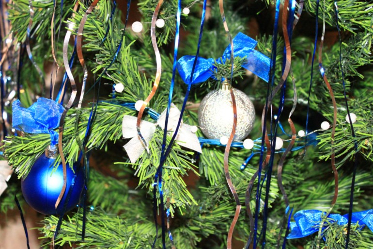 Наши елочки-красавицы )))