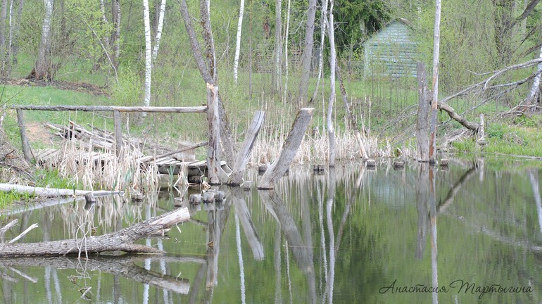 Контрольное задание № 24. Корректирование снимка с помощью нейтрального цвета, а так же черной и бел