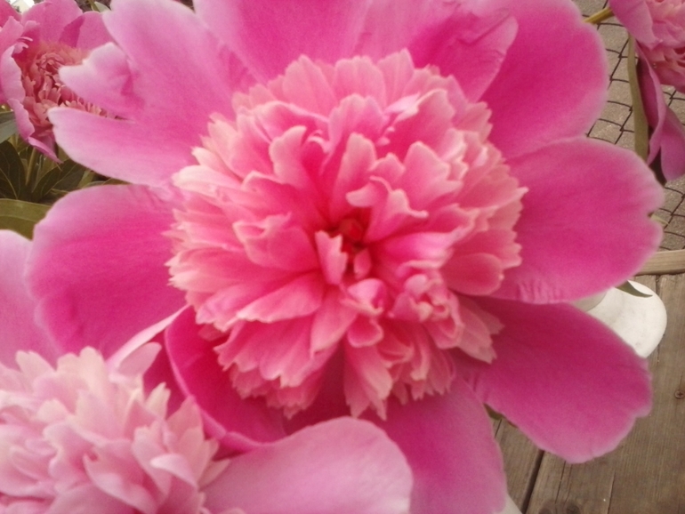 Хочу скорее лето!!!