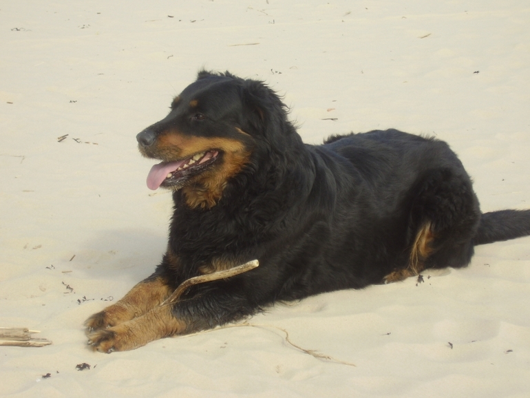 Рэда-радость наша!