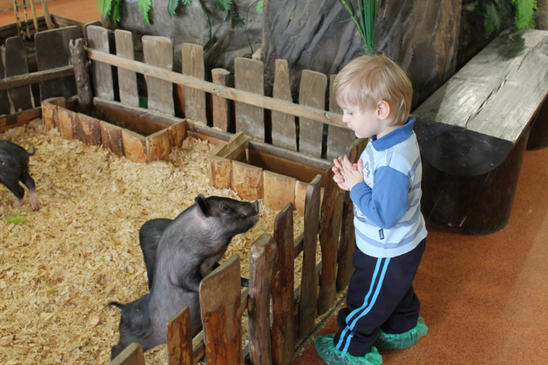 Контактный зоопарк