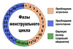 Влияние прогестерона на успешность имплантации в свежем протоколе