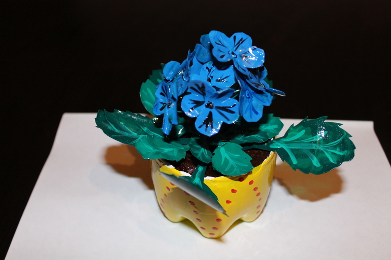 Фиалки в садик