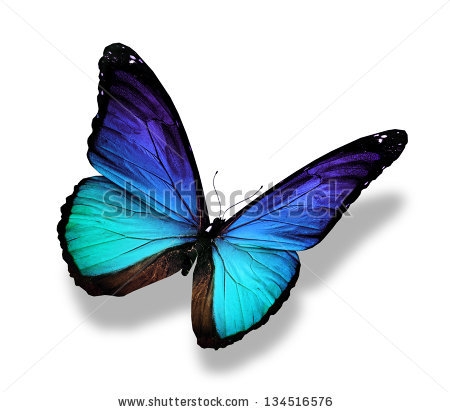 Бабочка в коридор.