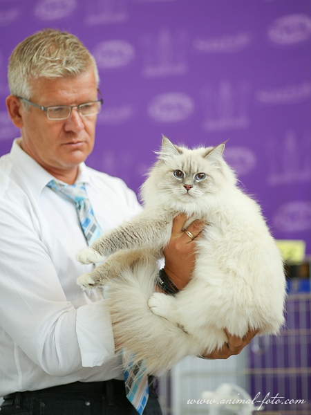 проголосуйте пожалуйста