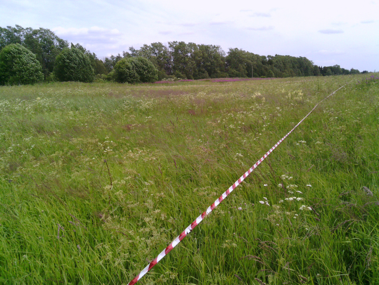 Земля!Хвалюсь)