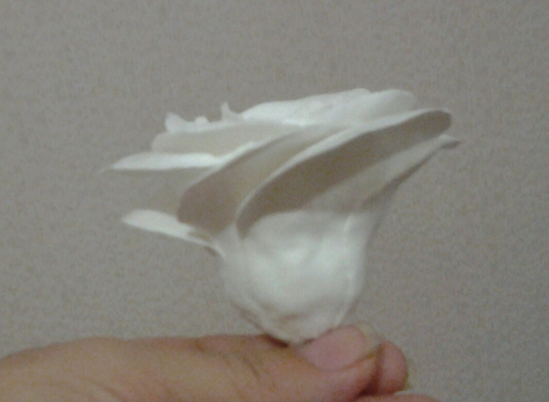 Очень жду критики!