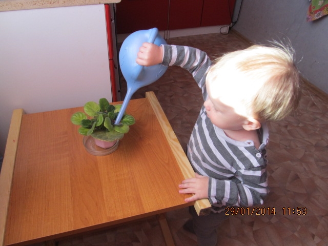 ТН "Цвета" Синий и зеленый