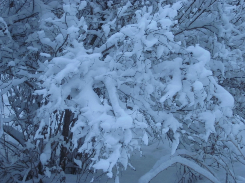 Вот токое 19 марта