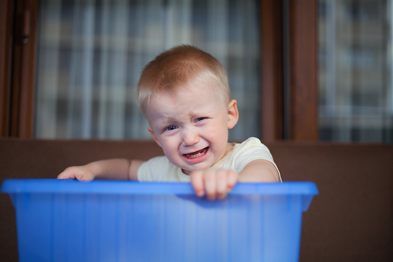 артиста видели?