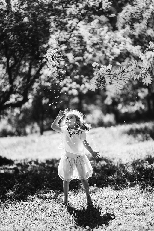 Одуванчиковый мёд