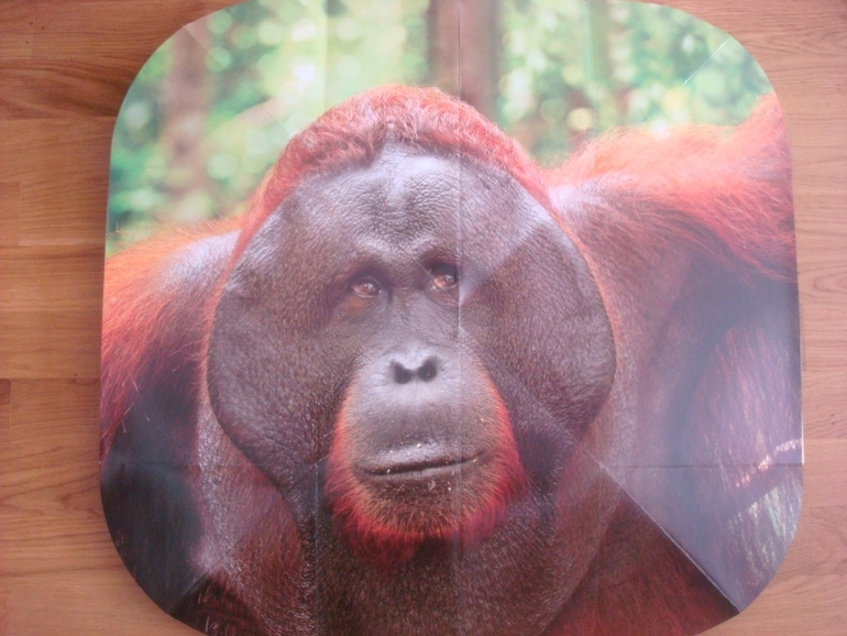 Большой книжный май. Часть 1-я.