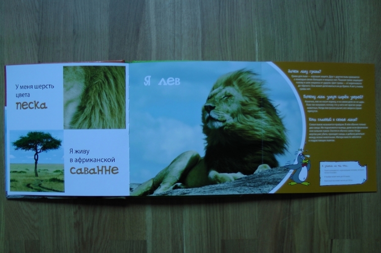 А у нас опять книжное пополнение...