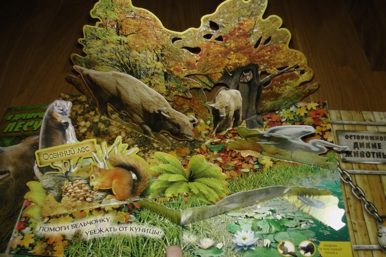 Первые летние приобретения: серьезные и не очень. Или: кто ищет - тот всегда найдет!!!