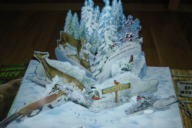 Первые летние приобретения: серьезные и не очень. Или: кто ищет - тот всегда найдет!!!