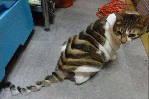 Стрижка и Позы для фото