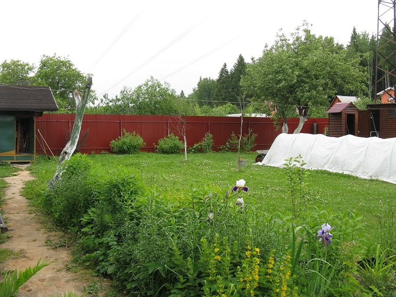 Участок 10 соток с летним домом.