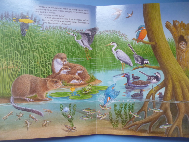 Первые книги малыша. Учим новые слова (бюджетные гляделки, много фото)