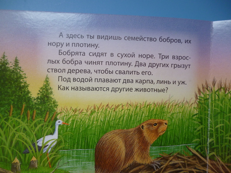 Первые книги малыша. Учим новые слова (бюджетные гляделки, много фото)