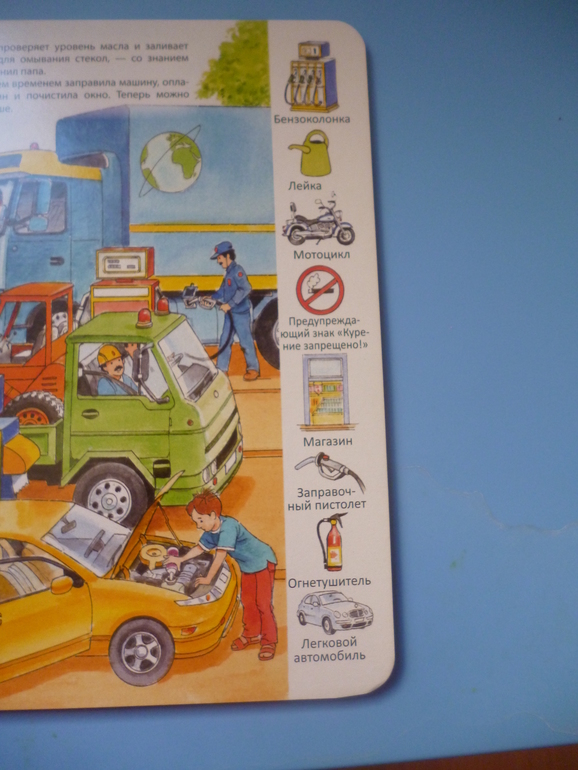 Первые книги малыша. Учим новые слова (бюджетные гляделки, много фото)