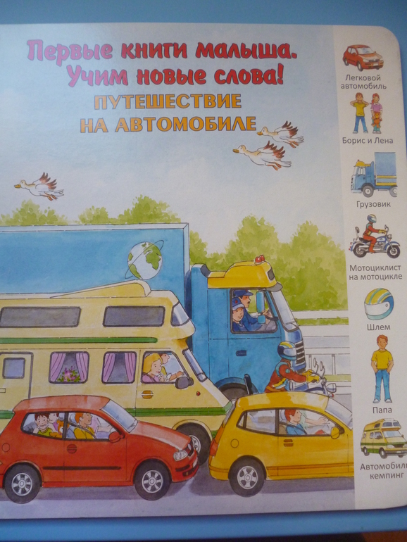 Первые книги малыша. Учим новые слова (бюджетные гляделки, много фото)