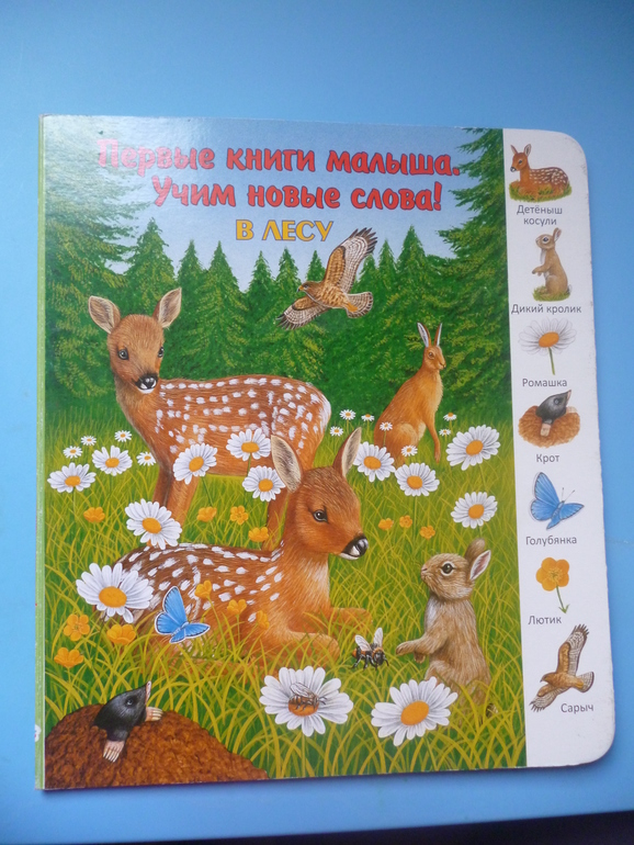 Первые книги малыша. Учим новые слова (бюджетные гляделки, много фото)